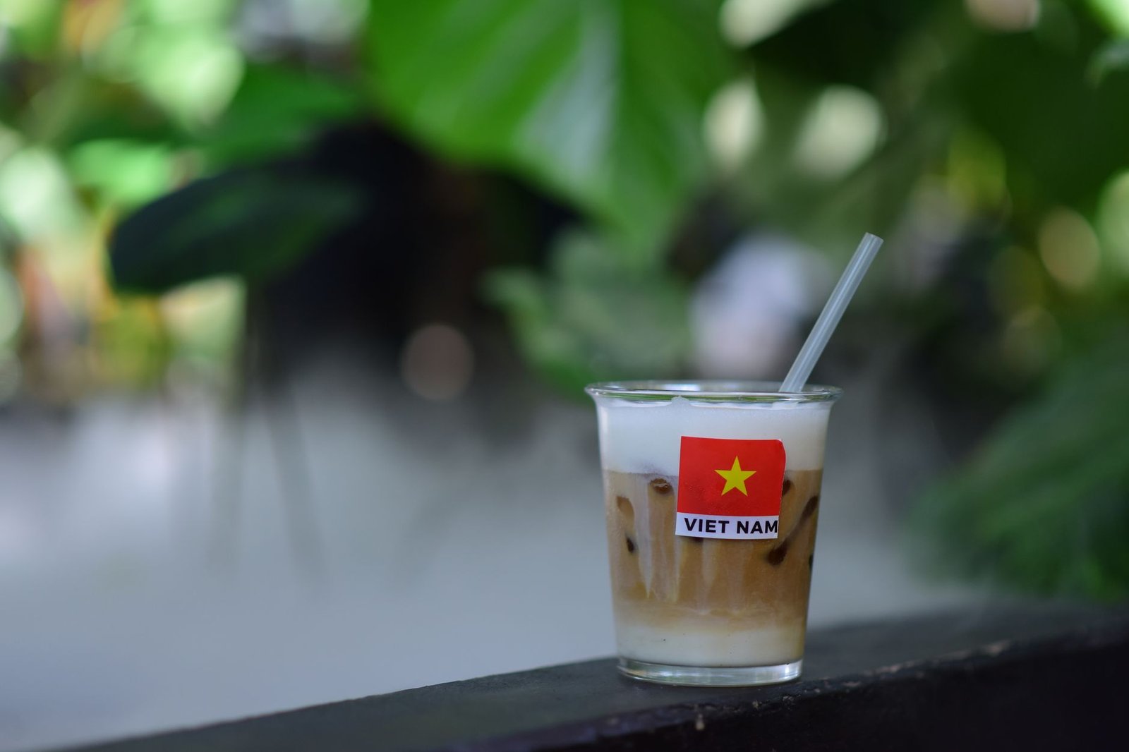 Restaurant Pho DO, cuisine Vietnamese à Montréal